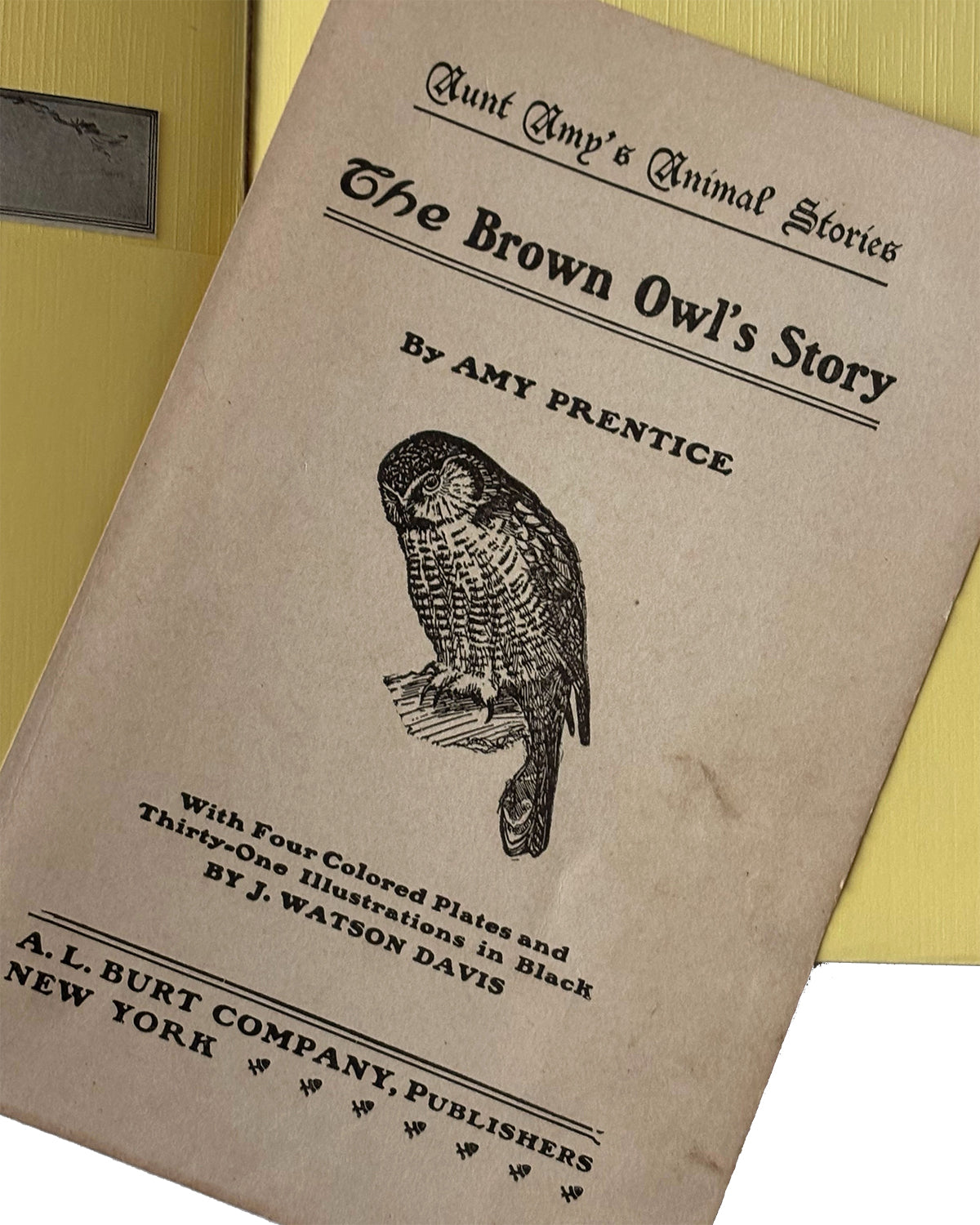 Brown Owl Vintage Book Cover Journal